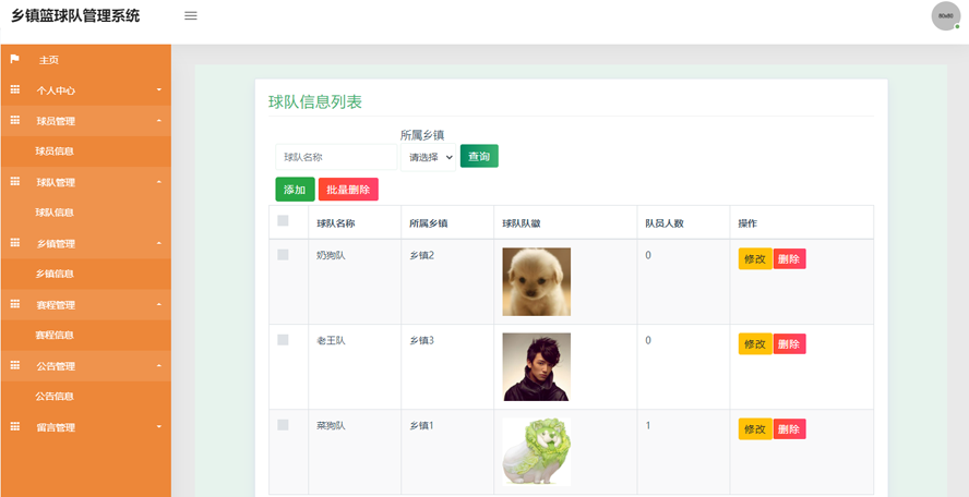 乡镇篮球队管理系统模板截图