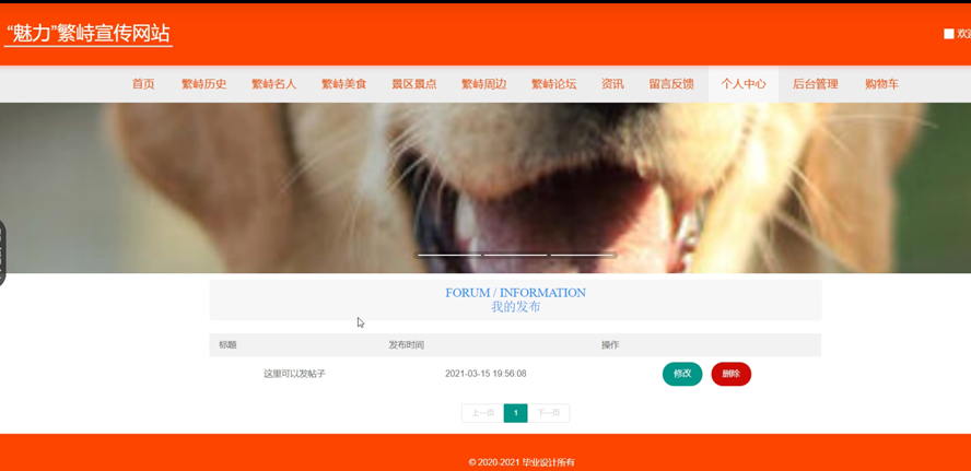 繁峙宣传网站的设计与实现模板截图