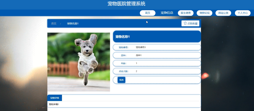 宠物医院管理系统的设计与实现