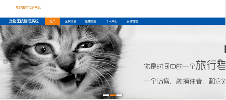 宠物医院管理系统
