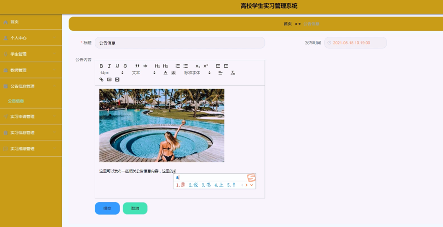 高校学生实习管理系统的设计与实现模板截图