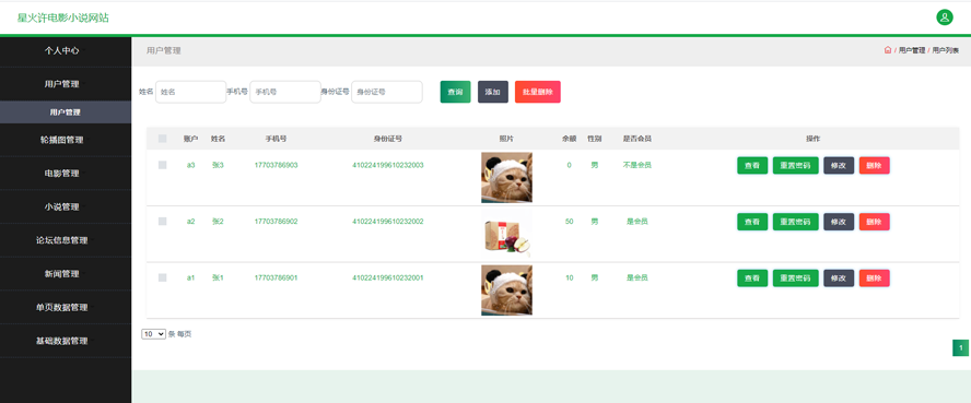 星火许电影小说网站设计模板截图